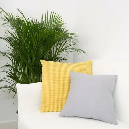 Appartamento Homely Cervantes